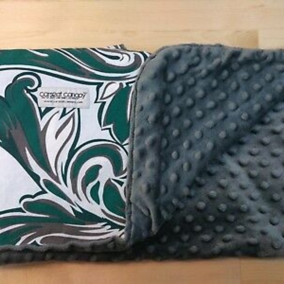 Car seat Canopy - Picture 1 of 4